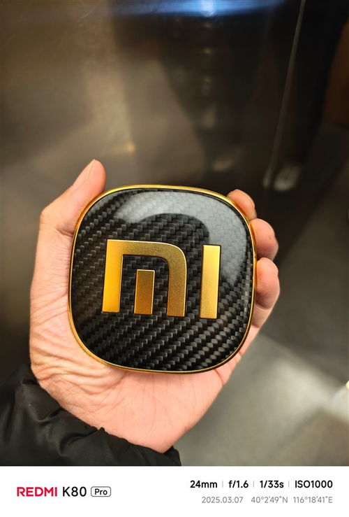 小米SU7 Ultra车标真能炼出黄金？车主抠标后真相大揭秘