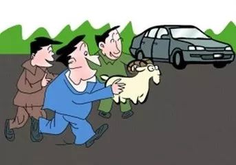 消防员救出话痨羊：一场跨语言的奇妙救援