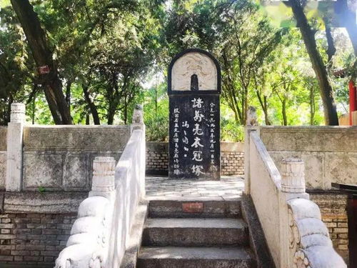 秦始皇陵甬道上的日本人植树纪念碑：游客的疑惑与反思