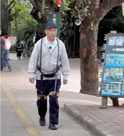 深圳的机器人产业：从“实验室玩具”到“生产力工具”的蜕变