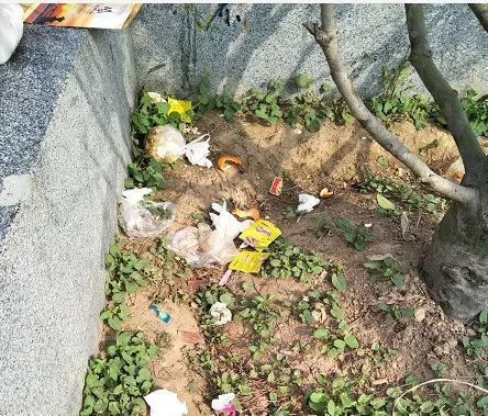 折柳枝：春日里的诗意与乡愁