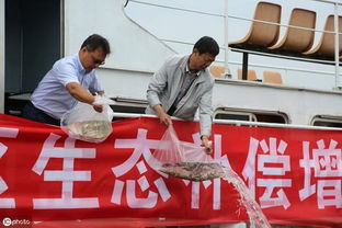 拆迁谈判：如何在第四节中争取自己的权益