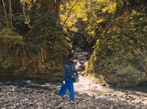 她30岁登顶亚洲，首次来沪一票难求：孙燕姿的音乐传奇