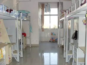 探秘内蒙古农业大学的宿舍生活：紫竹301的故事