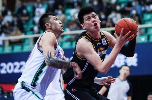 演员金世佳现场观看CBA焦点战：篮球与明星的跨界碰撞