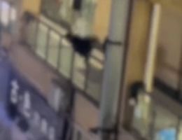 偷拍男逃跑摔伤谁担责？法律与道德的边界探讨