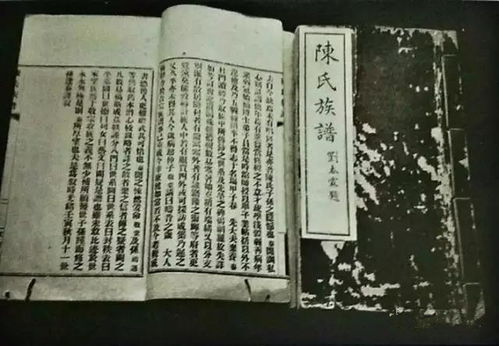 追本溯源：如何深入理解热图并提升用户体验