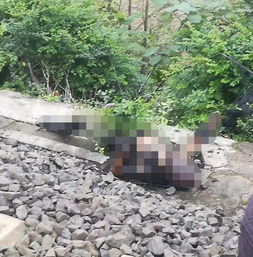 男子钓鱼触电事故引发深思：安全意识不可忽视