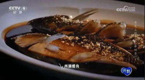 杭州「六小龙」之外，零跑汽车如何成为科技创新的新名片