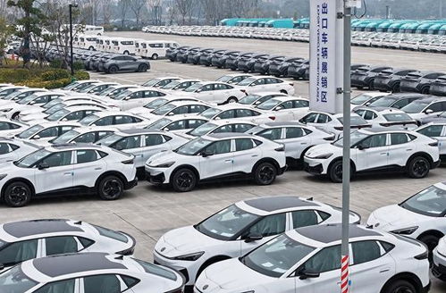 中国引领2月电动汽车销量增长，全球瞩目！