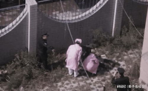 男子偷拍被发现后逃离坠楼？警方通报来了