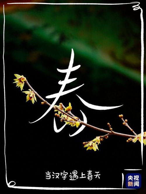 用汉字打开春暖花开：一个关于希望与重生的故事