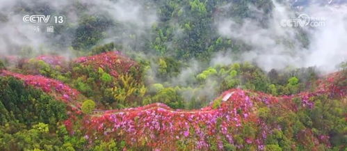 这是春天里的锦绣中国：一位旅行者的视角