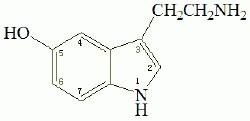 JACS新突破：色氨酸羟化酶样纳米酶治疗抑郁症的未来