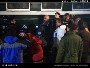 一路繁花：贺峻霖的奇妙旅程