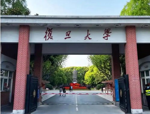掉队的C9大学：一位学子眼中的焦虑与希望