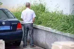 年轻人流行“随地大小动”？背后真相竟是这样……