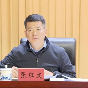 张红文接棒合肥市委书记：新任领导的挑战与展望