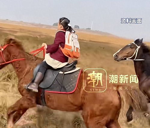 呼和浩特三孩入学政策：全市自由择校，家庭教育新篇章