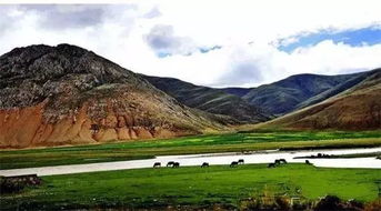 宛若天成：他与自然的奇妙邂逅