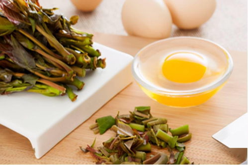 尝一口春天的味道：抖音带你走进舌尖上的春天