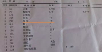 尿常规蛋白出现“+”号？警惕肾脏健康问题