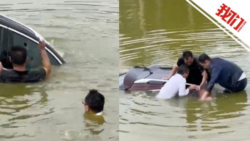 黄焖鸡的食品安全黑幕：隔夜菜“整容”真相与辨别方法