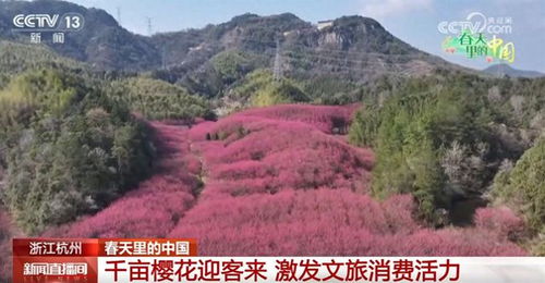 春天里的锦绣中国：一场与自然的深情对话