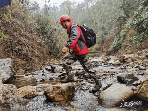 00后女生辞职到大山做护林员：用青春守护绿色家园