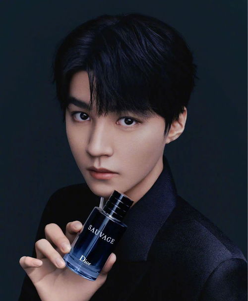 王俊凯迪奥唯一胸针：一场时尚与艺术的邂逅