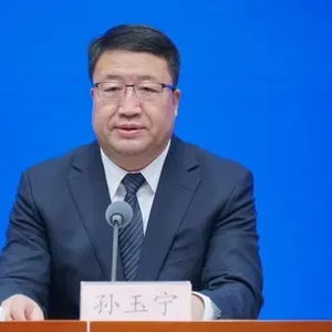 震惊！海关高官孙玉宁严重违纪违法被双开，背后真相大揭秘