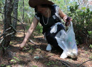 女子野外捡菌意外救下“落难”黑狗