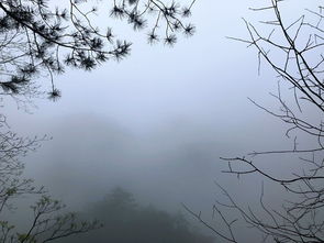 一段关于春天的描写：他眼中的春日画卷