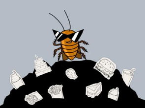 打不死的小强：简书平台的产品体验与未来展望