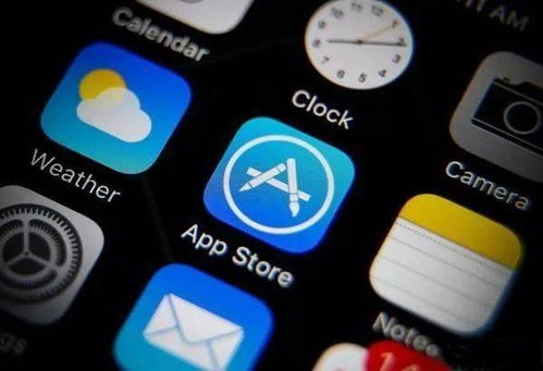 钱哥出海：苹果审核机制深度解析与突围秘笈