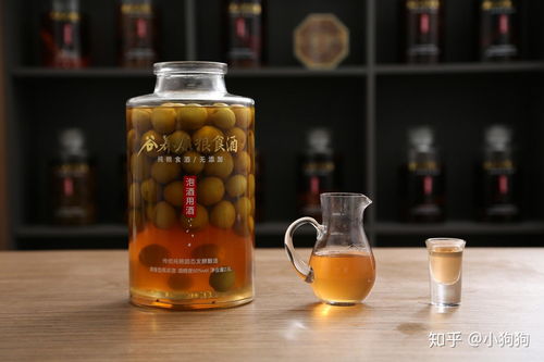泡青梅用什么香型的酒最好？泡酒小秘诀让你酒香果香双重享受！