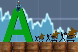 A股如何保护中小股民合法权益？从政策到实践的全面解析