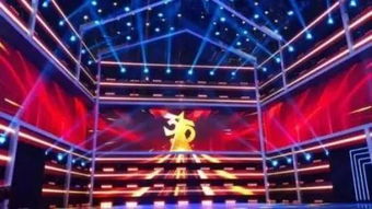 揭秘315背后的真相：从温州消防演练到乡村小学的误解