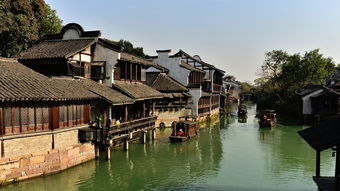 三游乌镇，“木心文化”长进了心里