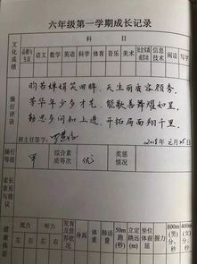 从讲台到小吃摊：一位小学老师的另类转型之路
