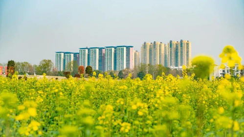 属于春天的颜色：一场视觉与心灵的盛宴