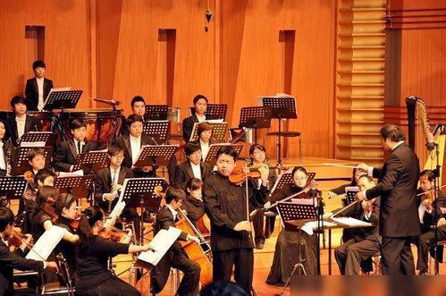 春天的声音像一场演唱会