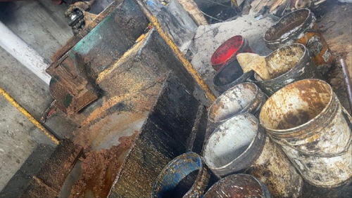 揭秘狐貉肉冒充牛羊兔肉的黑色产业链