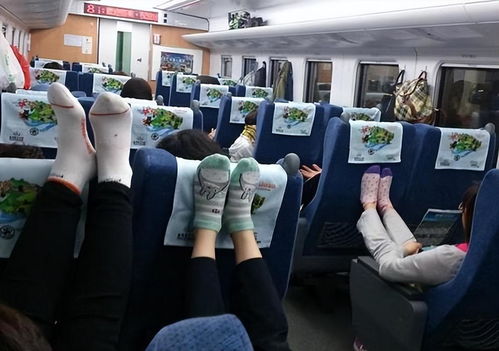 女生坐火车凌晨4点被吵醒，反遭怼“睡懒觉”：谁才是真正的无理取闹？