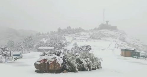 北京竟然下雪了！一场春雪引发的惊喜与挑战