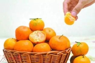 猪吃沙糖桔变蓝色？脑洞大开的奇妙答案解析