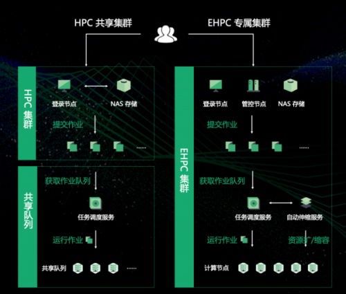 科研小白的逆袭之路：HBIcloud多维组学平台助我快速上手数据分析