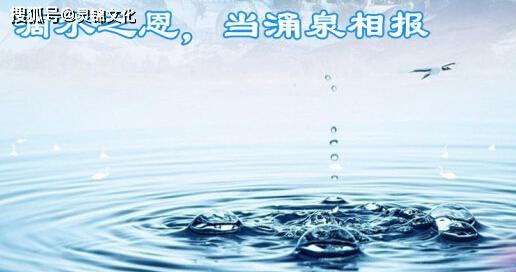 城市候鸟的饮水经济学：从生态到经济的选择与平衡