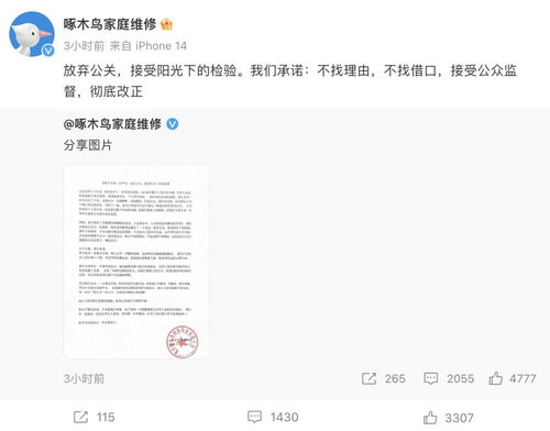 被“维修刺客”啄木鸟坑惨的年轻人：背后的故事与真相