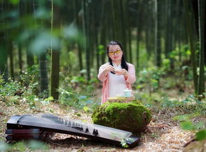 纷纷竹影映空庭：一场与自然共鸣的心灵之旅